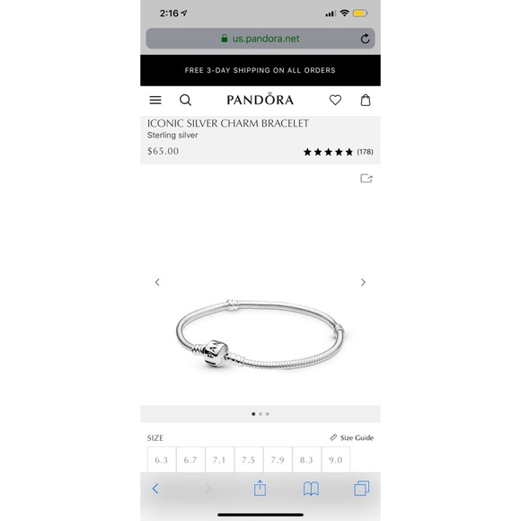 Pandora Jewelry - Pandora Iconic Silver Charm Bracelet